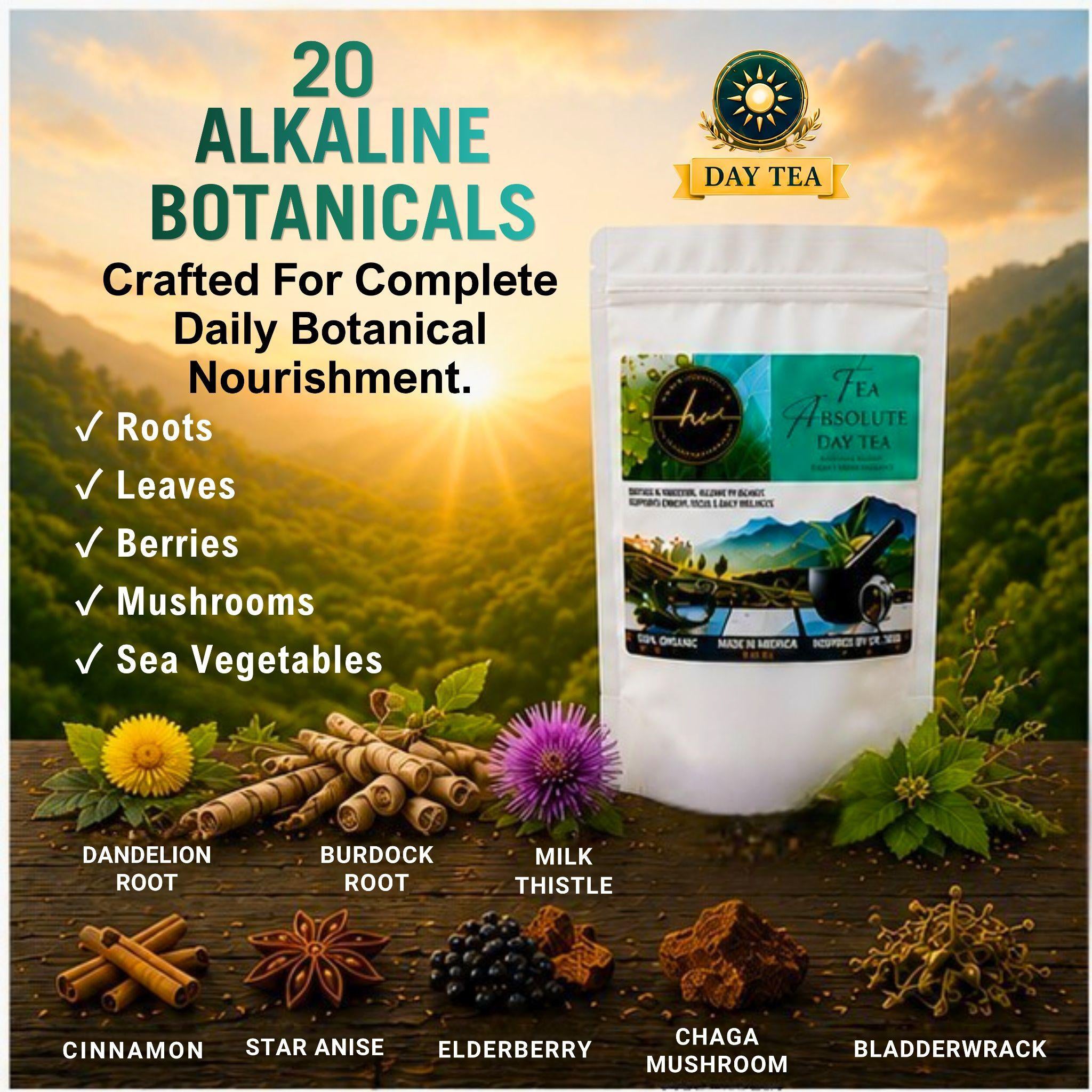 Tea Absolute Alkablend – Organic Loose Leaf Herbal Tea, 20-Ingredient Botanical Wellness Blend for Gut Health, Detox & Immune Support – Daytime Energy & Focus Blend, Caffeine-Free