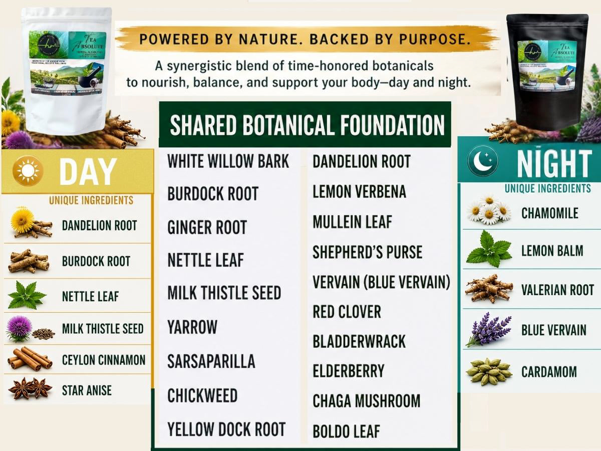 24 HOUR WELLNESS TEA BUNDLE
