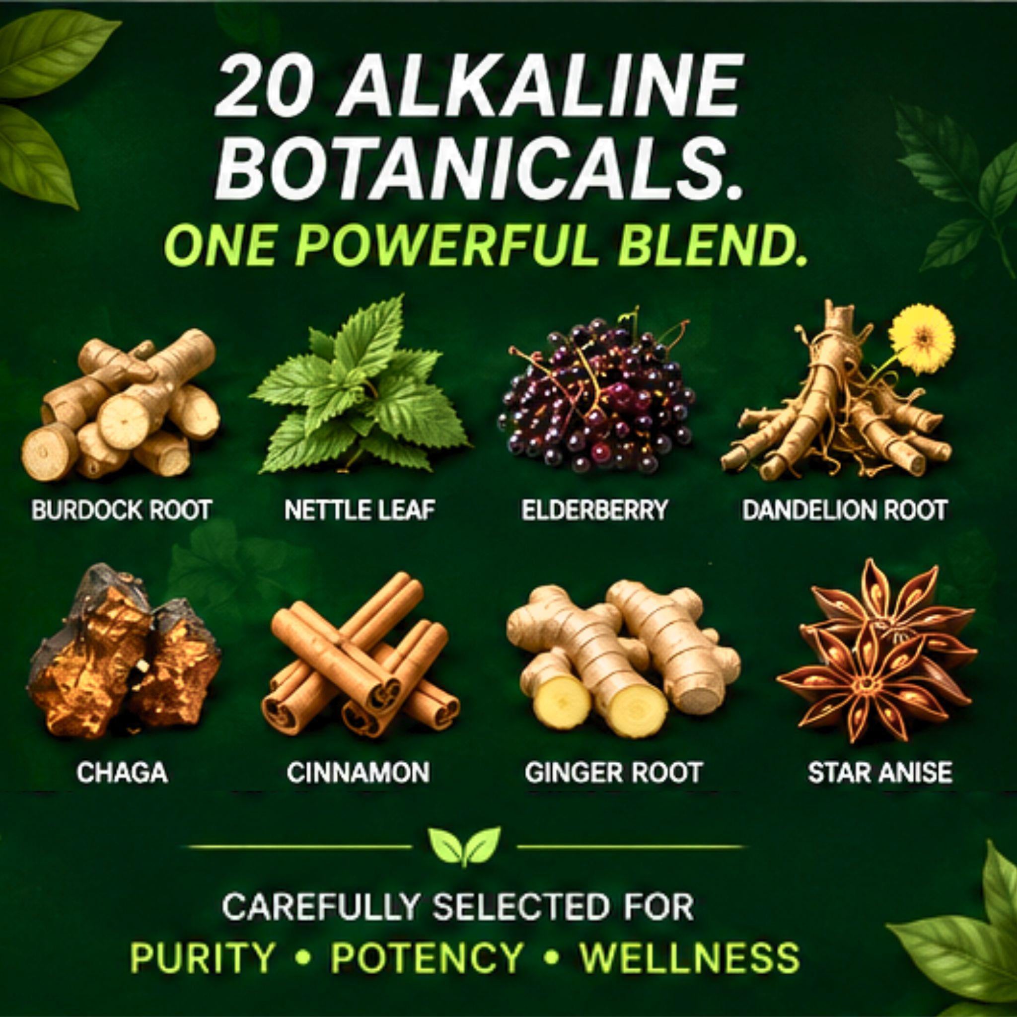 Tea Absolute Alkablend – Organic Loose Leaf Herbal Tea, 20-Ingredient Botanical Wellness Blend for Gut Health, Detox & Immune Support – Daytime Energy & Focus Blend, Caffeine-Free