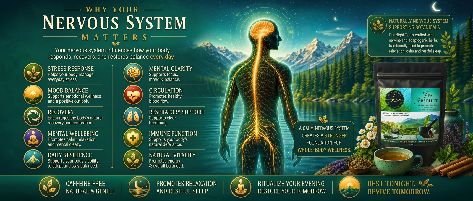 Nervous System